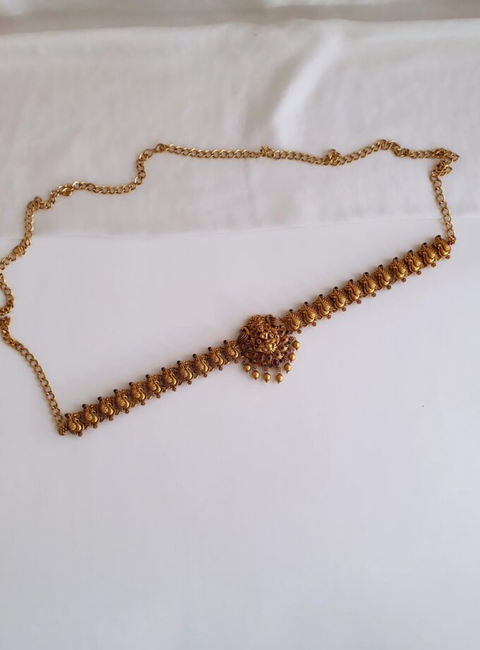 HIPCHAIN-A2493